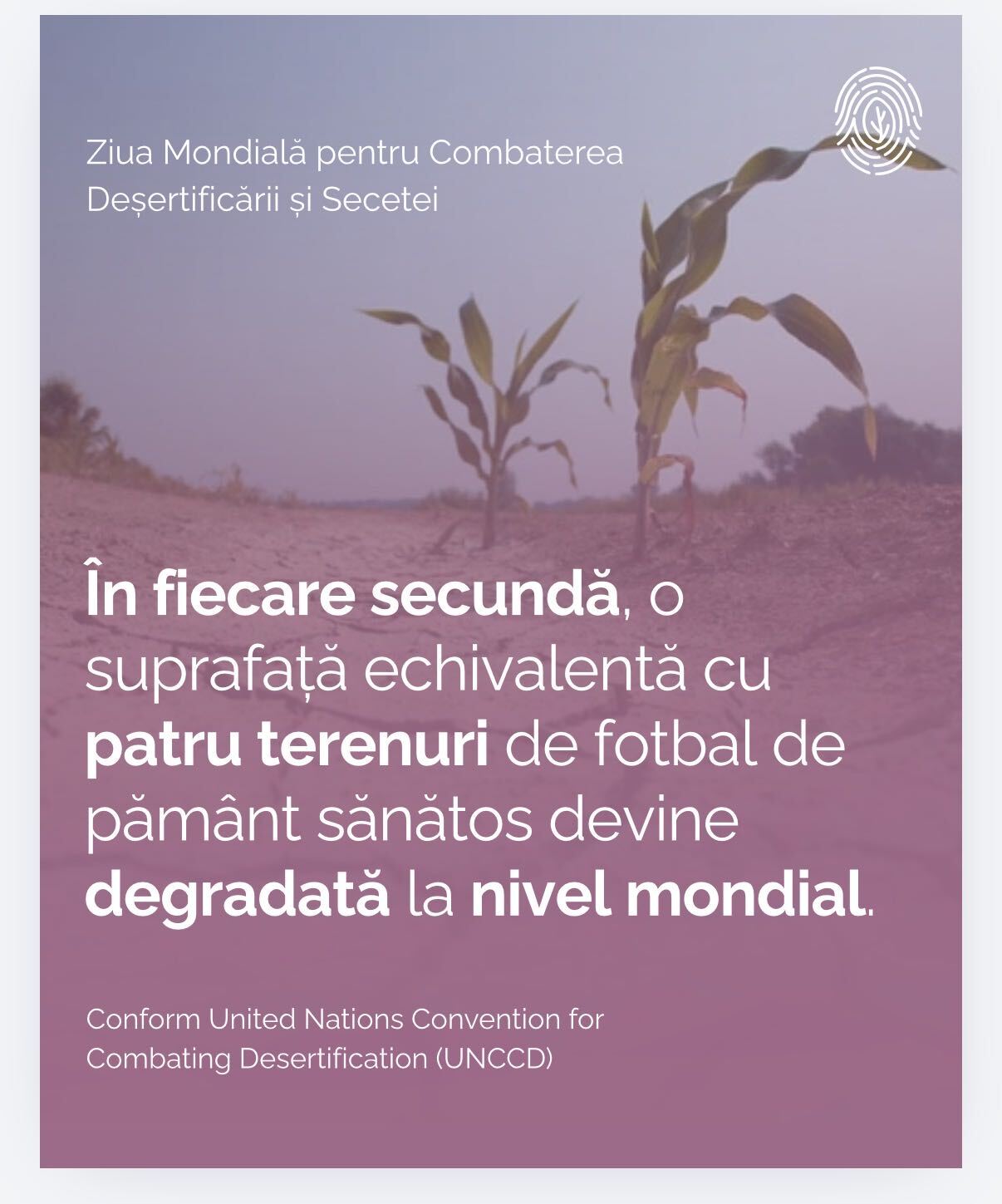 Imagine articol Pamantul sub presiune: Desertificarea si degradarea terenurilor, de la criza globala la realitatea comunitatilor din Romania
